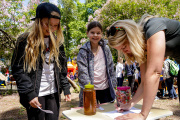 Summer Fair, 23rd of June 2017. School 1 & 2. - Picture 4