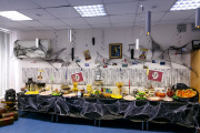 A Harry Potter event. School 4. - Picture 4